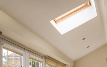 Dull conservatory roof insulation companies