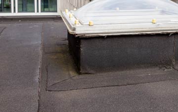 disadvantages of Dull flat roofs
