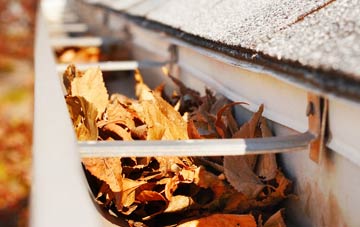 Dull gutter cleaning companies
